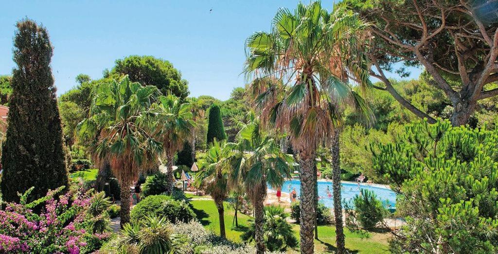 La Badine 5P Plage Piscine Clim Jacuzzi Parc Luxuriant Hyères Екстериор снимка