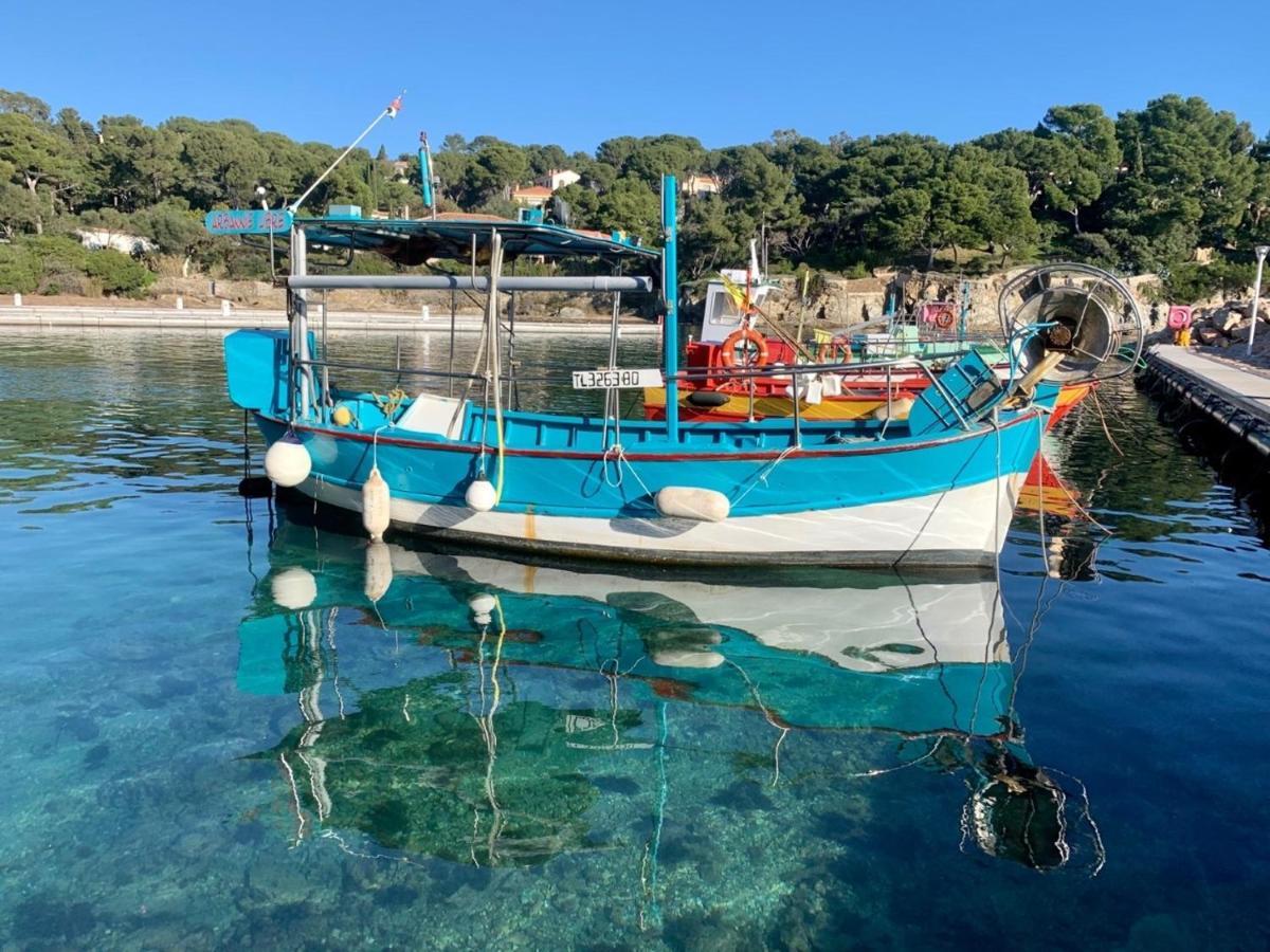 La Badine 5P Plage Piscine Clim Jacuzzi Parc Luxuriant Hyères Екстериор снимка